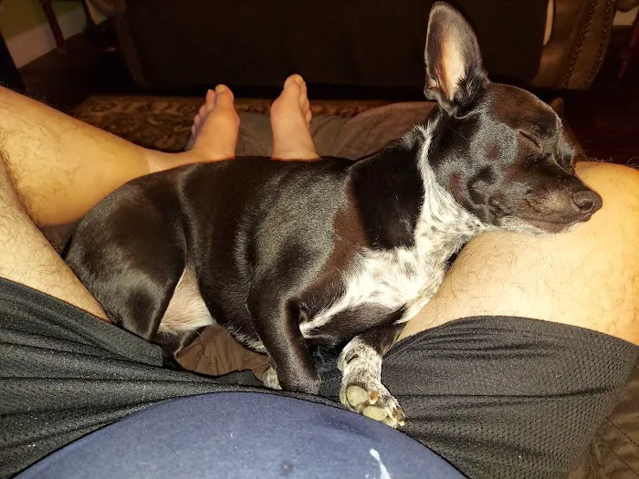 Cartersville Animal Hospital 12