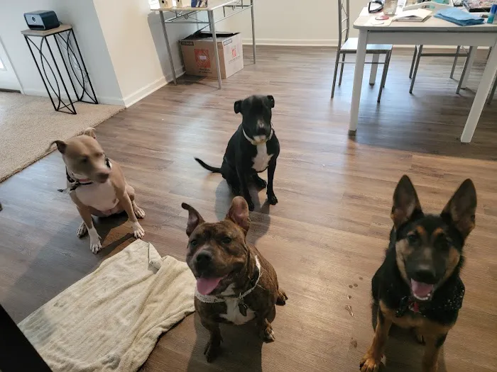 Cartersville Animal Hospital 12