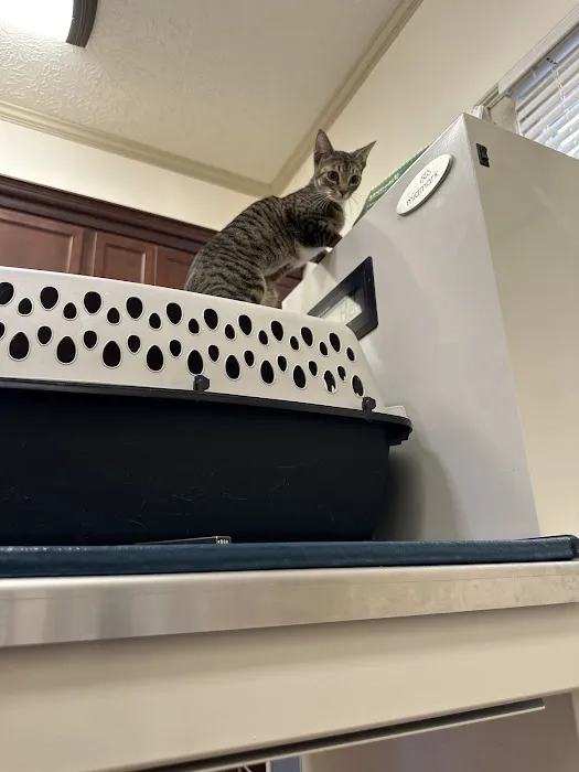 Cave Spring Animal Hospital 2