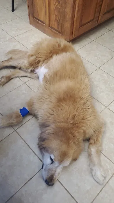 Cave Spring Animal Hospital 9