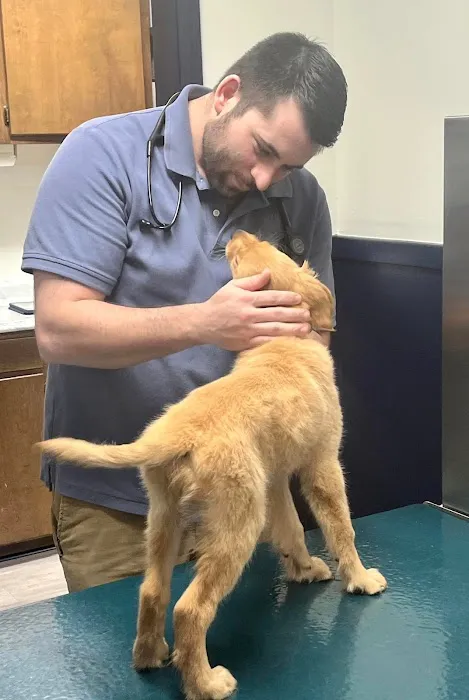 East Rome Animal Clinic 3