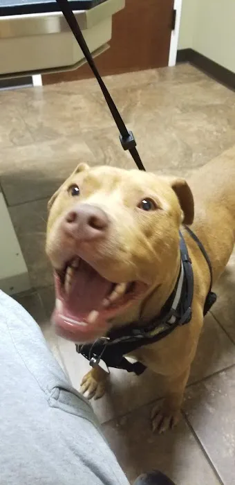 West Rome Animal Clinic 3