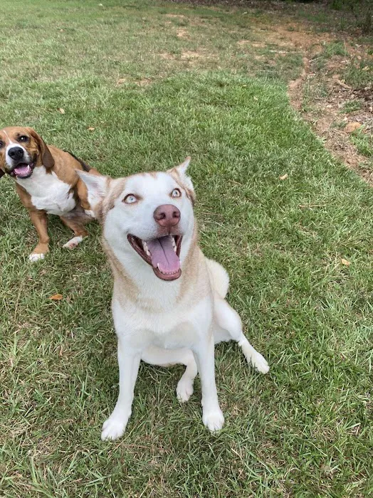 West Rome Animal Clinic 10