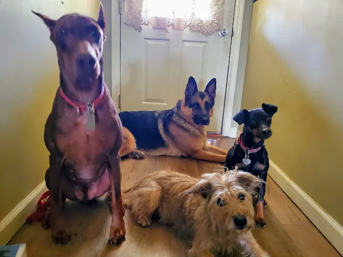 Lakeview Animal Clinic 4