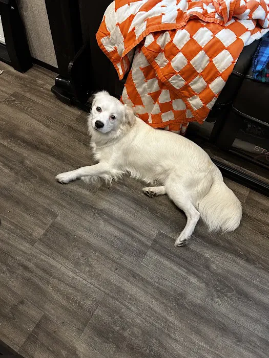 Lakeview Animal Clinic 6