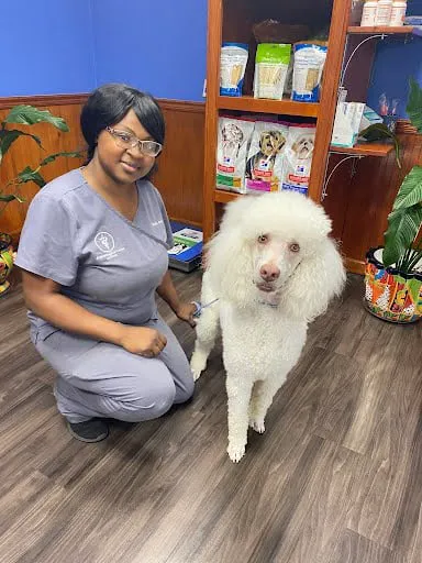 Animal Medical Center of Rome 6