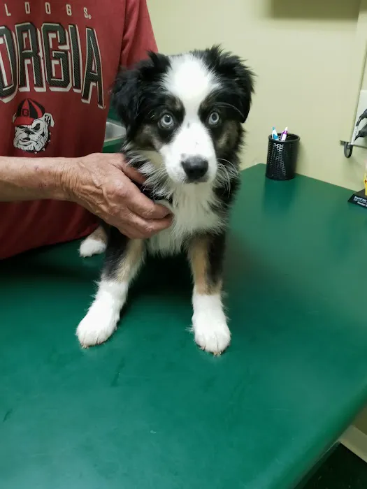 Animal Medical Center 7