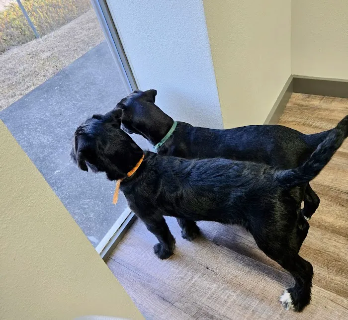 Wedowee Animal Hospital 12