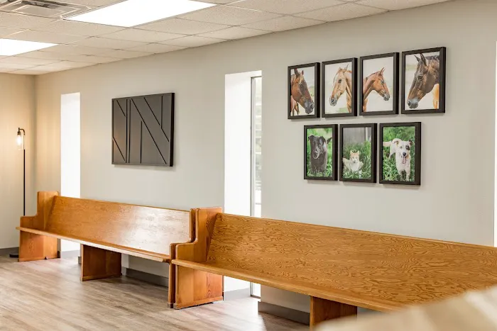 Wedowee Animal Hospital 12