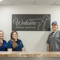 Wedowee Animal Hospital ico