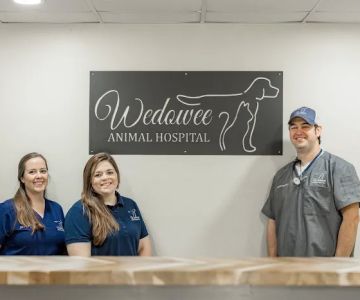 Wedowee Animal Hospital