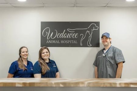 Wedowee Animal Hospital