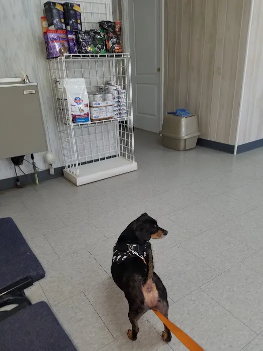 Rolling Hills Veterinary Services 12