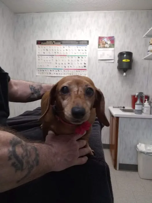 Rolling Hills Veterinary Services 12