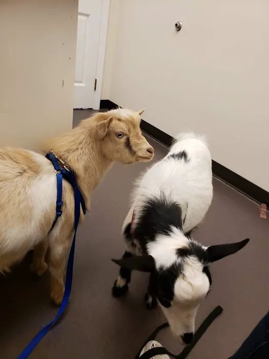 Tri-County Animal Hospital 6