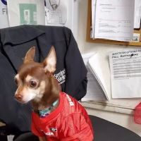 Tri-County Animal Hospital ico