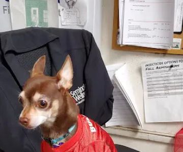 Tri-County Animal Hospital