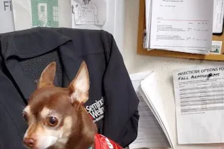 Tri-County Animal Hospital
