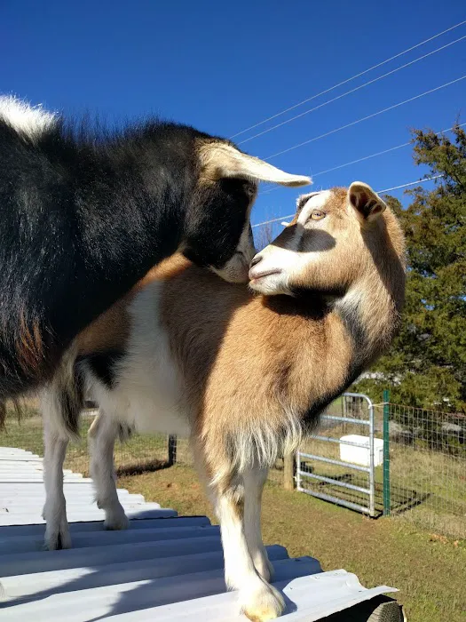 Tri-County Animal Hospital 5