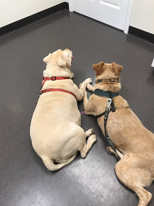 Tri-County Animal Hospital 9
