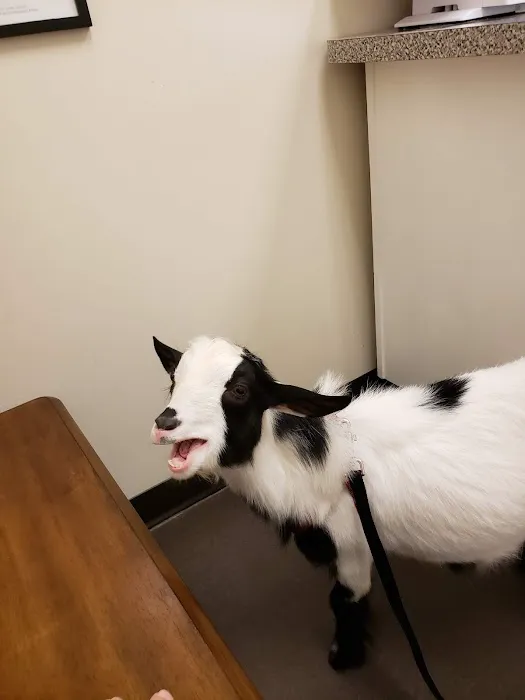 Tri-County Animal Hospital 8