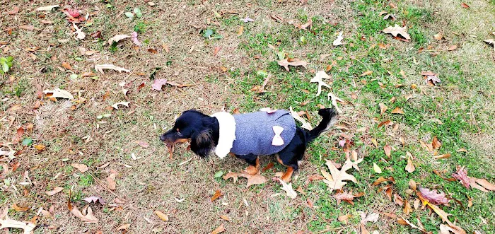 Tri-County Animal Hospital 7
