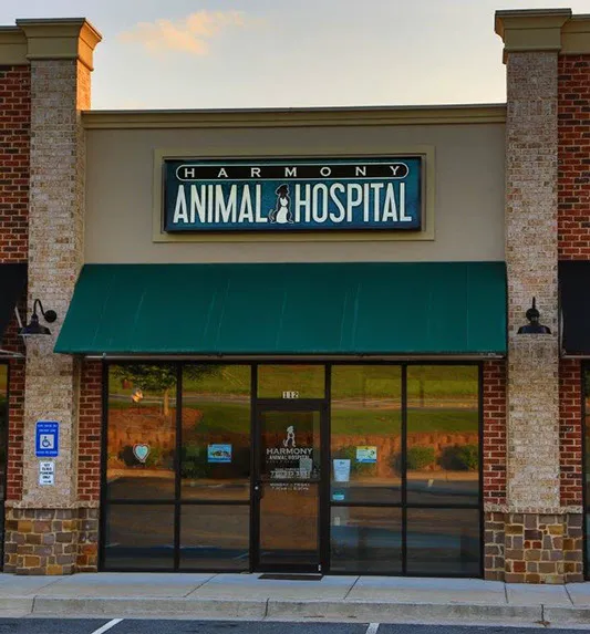 Harmony Animal Hospital 2