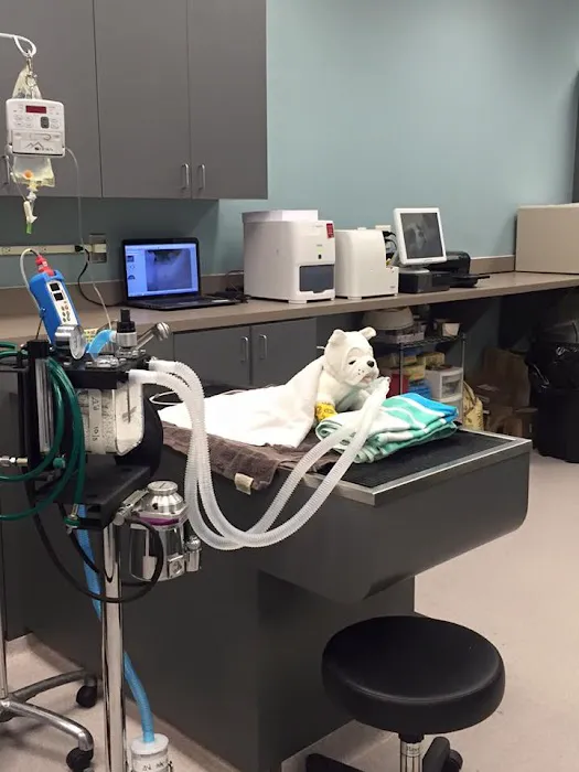 Harmony Animal Hospital 7