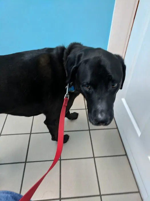 Hickory Flat Animal Hospital 8