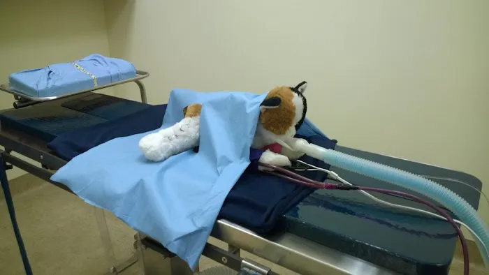 Vickery Animal Hospital 1