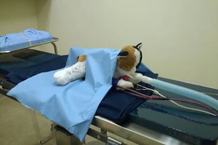 Vickery Animal Hospital