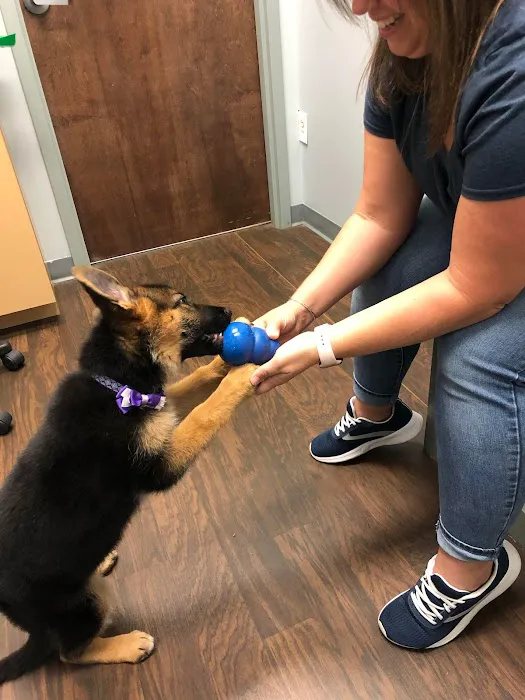 Vickery Animal Hospital 7