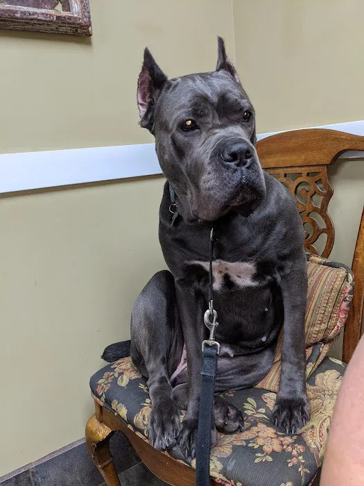Hamby Road Animal Hospital 1