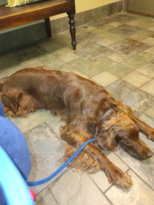 Hamby Road Animal Hospital 5