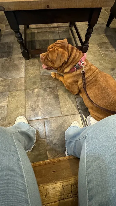 Hamby Road Animal Hospital 2