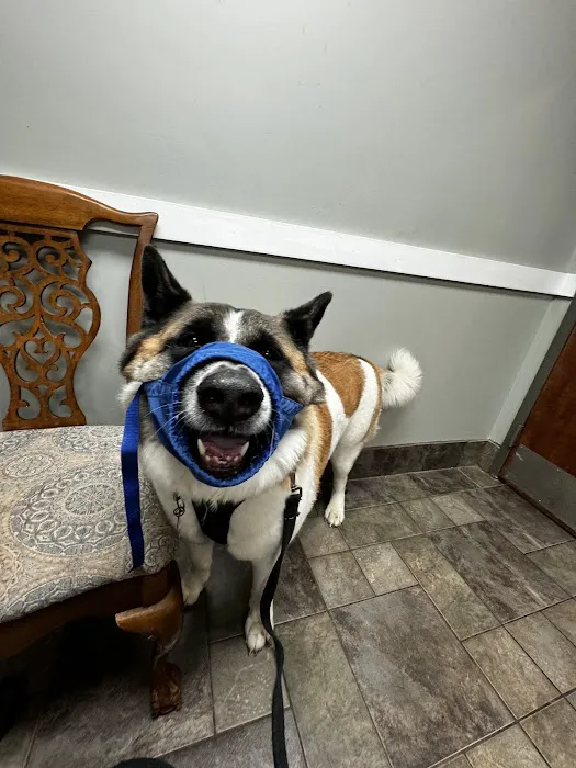 Hamby Road Animal Hospital 7