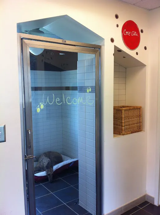 Riverstone Animal Hospital 1