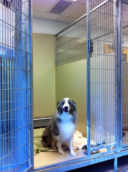 Riverstone Animal Hospital 3