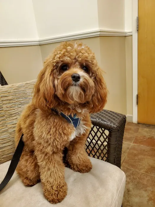 Riverstone Animal Hospital 8