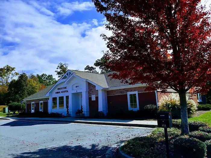 Riverstone Animal Hospital 4