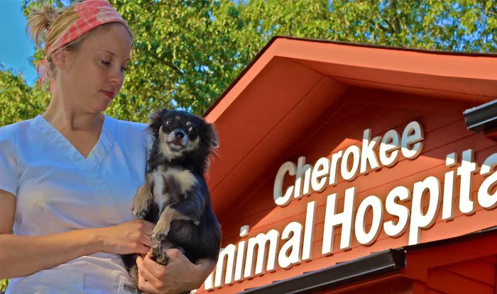 Cherokee Animal Hospital: Dr. Bryant 5