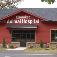 Cherokee Animal Hospital ico