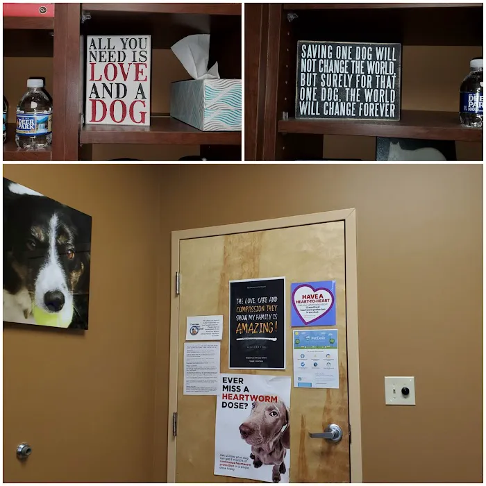 Cherokee Animal Hospital 12