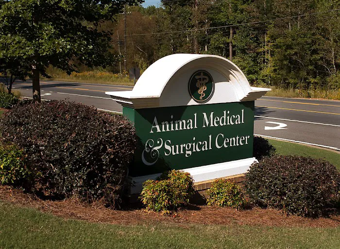 Animal Medical & Surgical Center 5