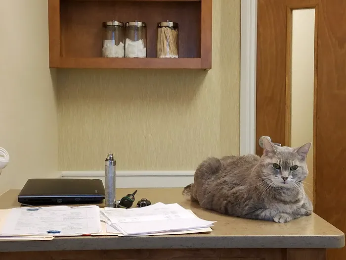 Animal Medical & Surgical Center 7