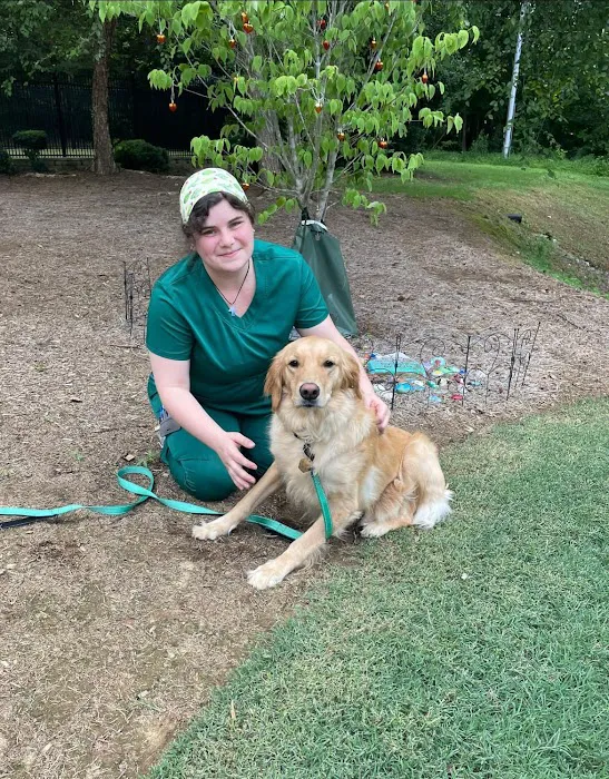 Animal Medical & Surgical Center 3