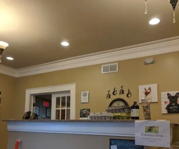 Atlanta Center for Animal Osteopathy