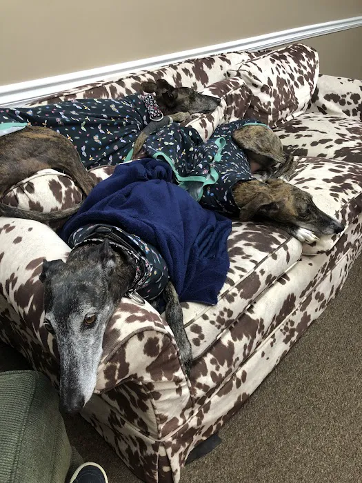 Atlanta Center for Animal Osteopathy 4