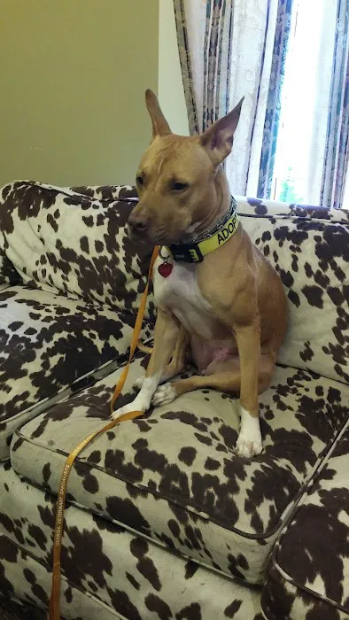 Atlanta Center for Animal Osteopathy 5