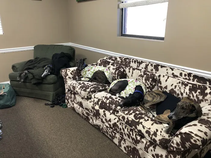 Atlanta Center for Animal Osteopathy 7